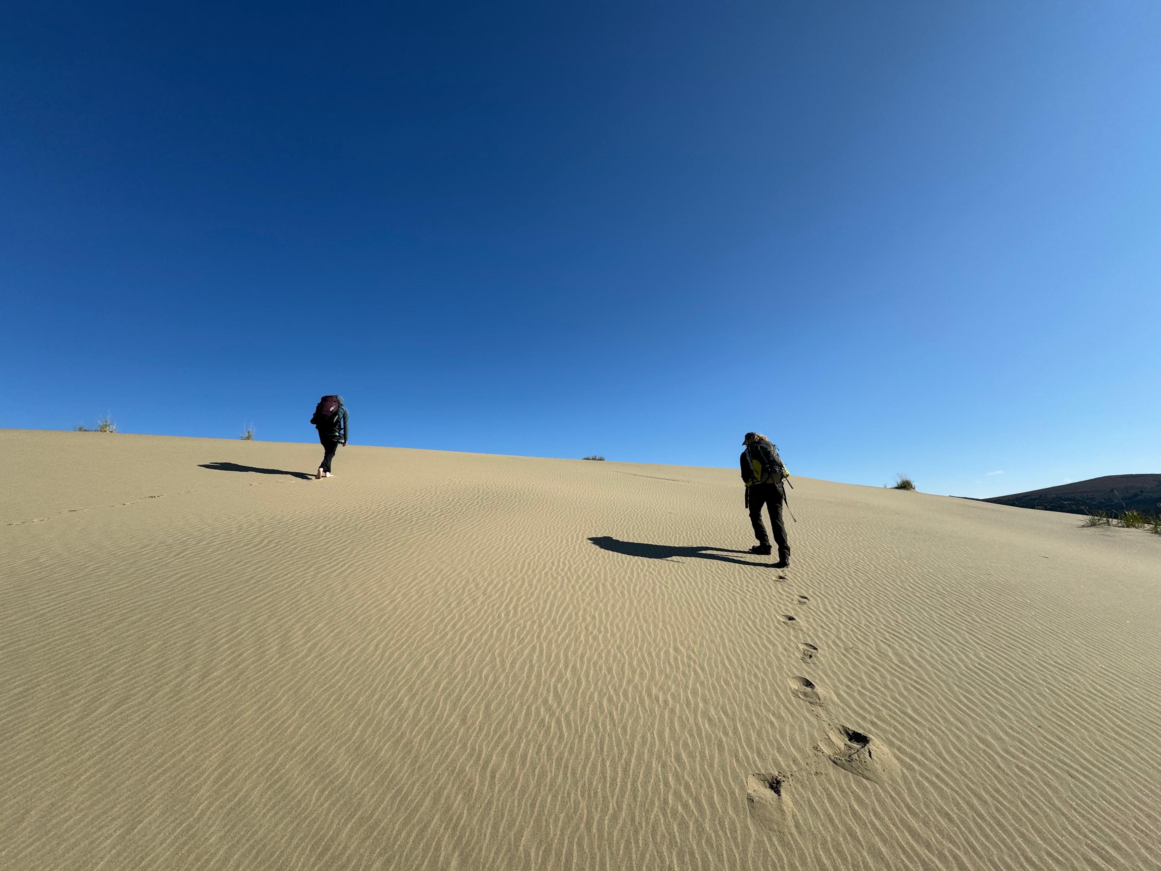 two persons are walking on the desert hill.